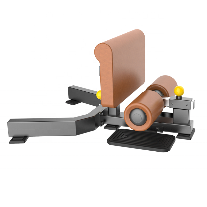 Supplier Home Sissy Squat Machine Gym Equipment